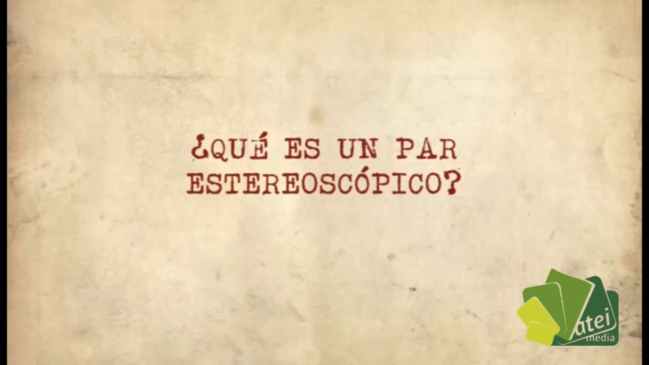 Fotografía primitiva - Vistas estereocopicas
