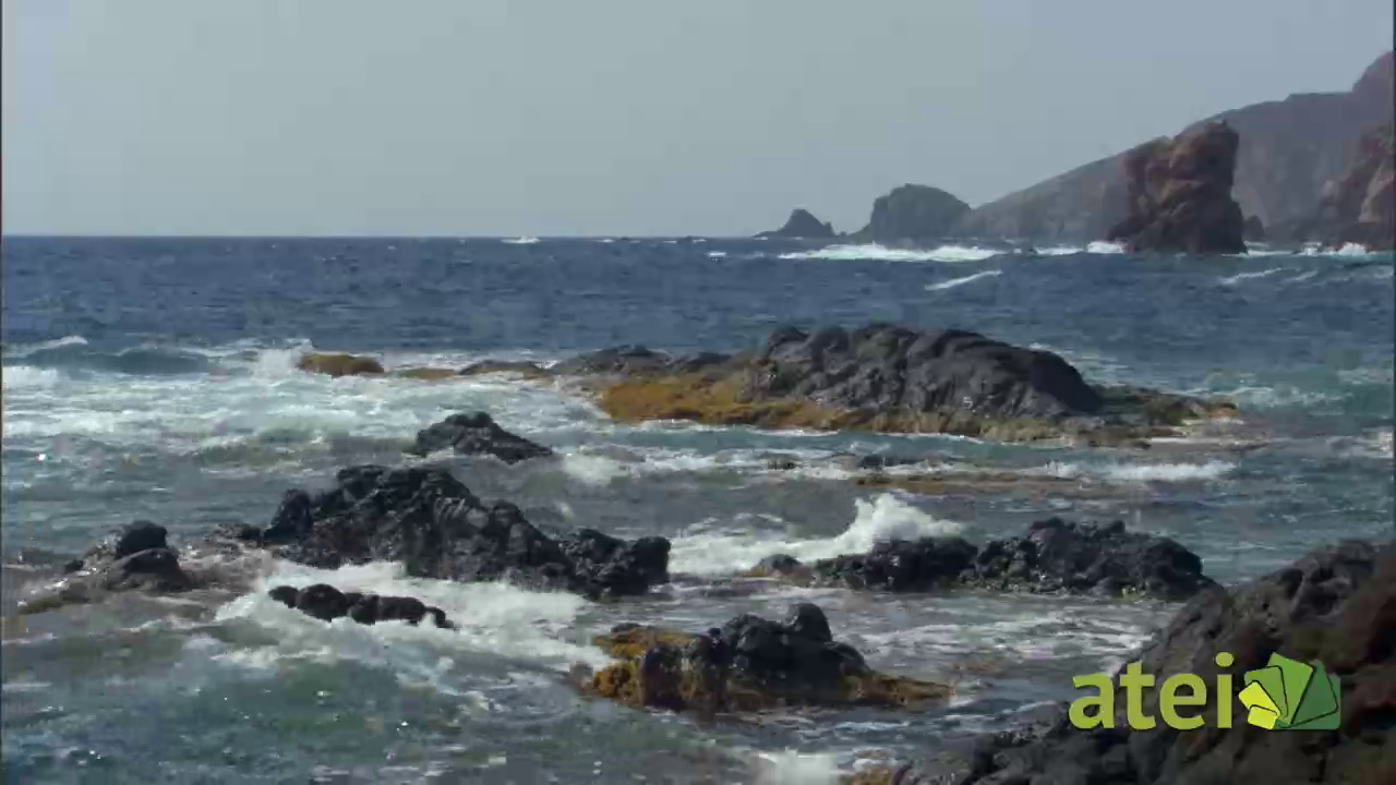 Mediterra Viva. CAP 1 Gota a gota