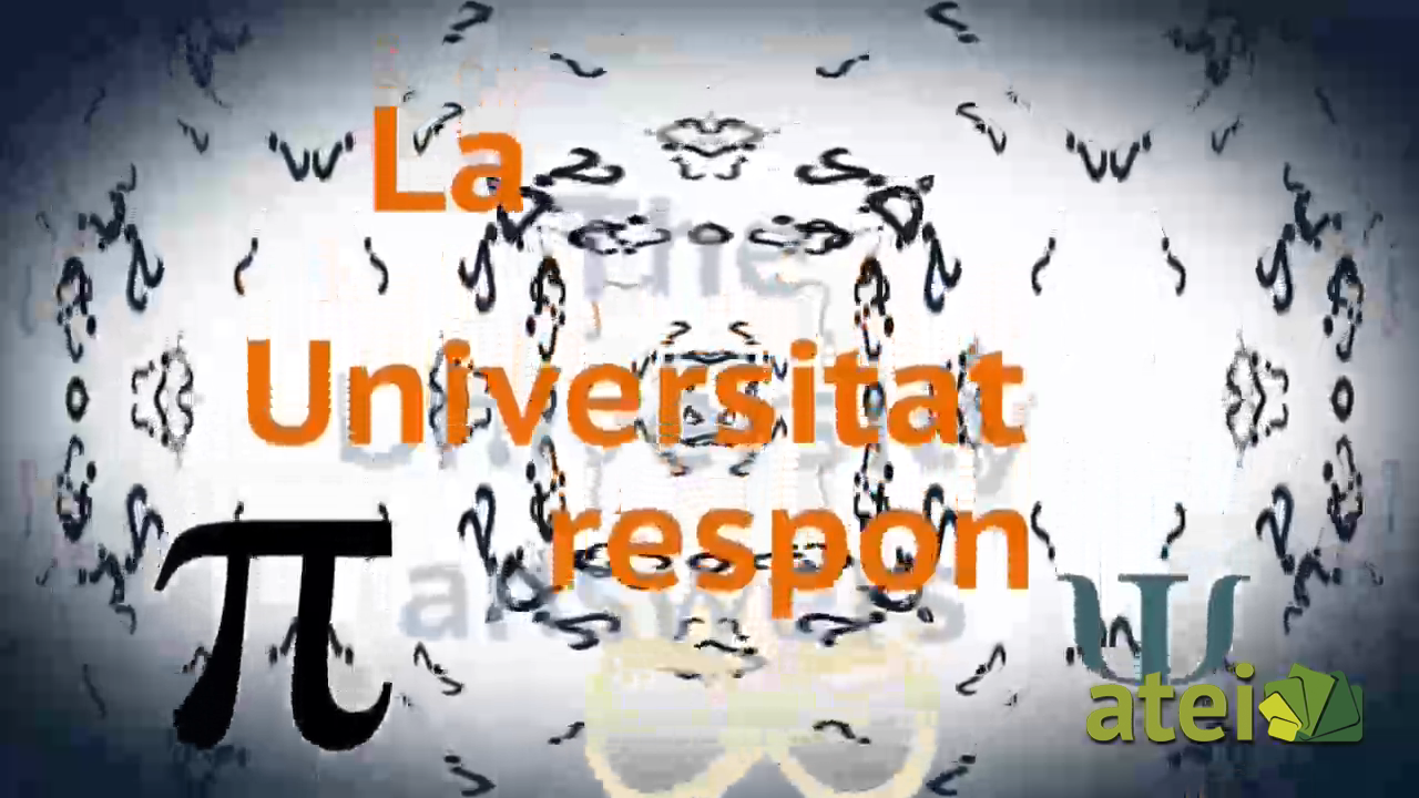 LUR2_Preocupacion por el peso y la figura-Rosa Mª Raich_UAB