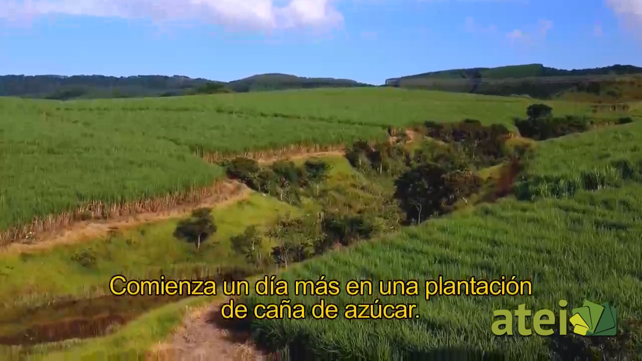 bebidas1x04B2