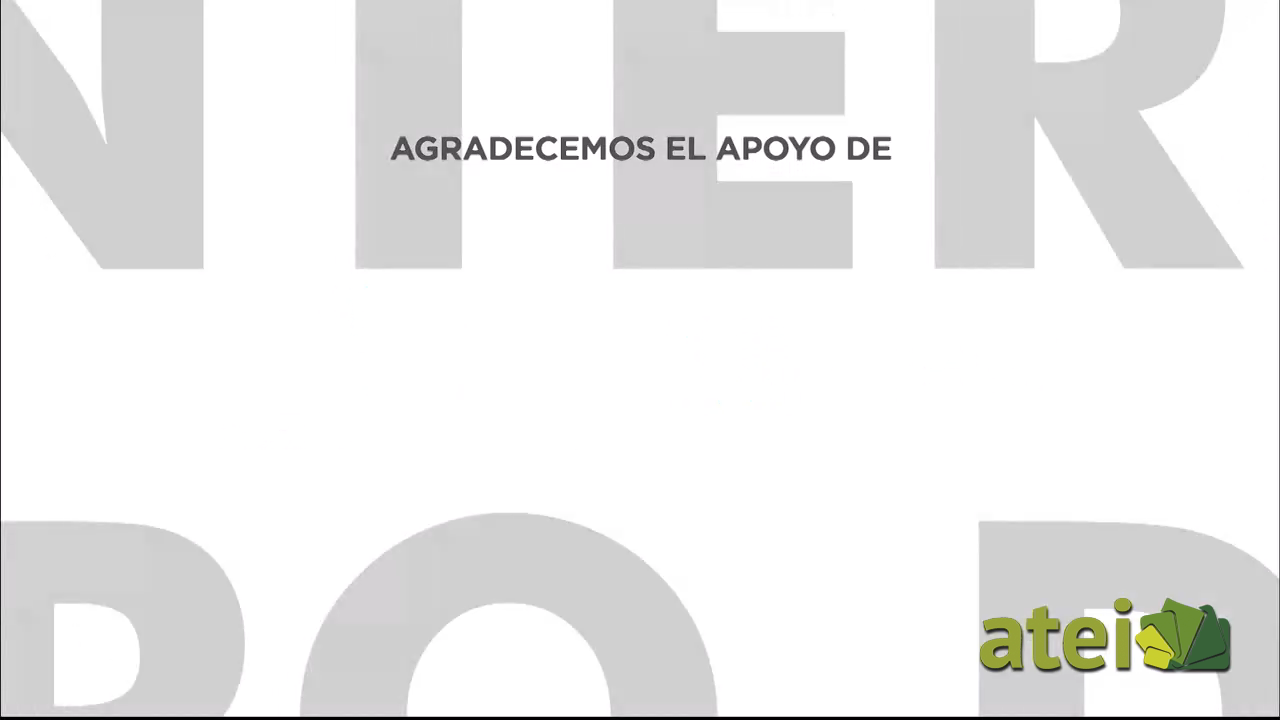 morfo19T29X03