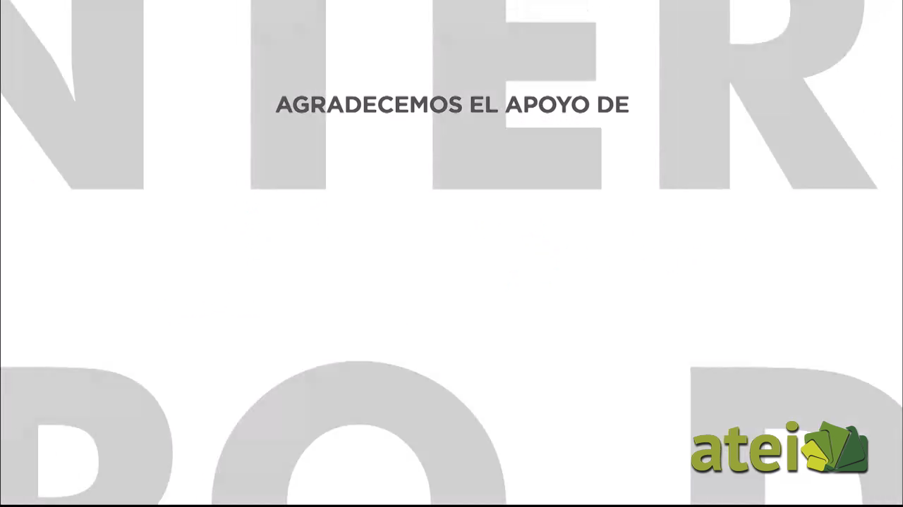 morfo19T29x07