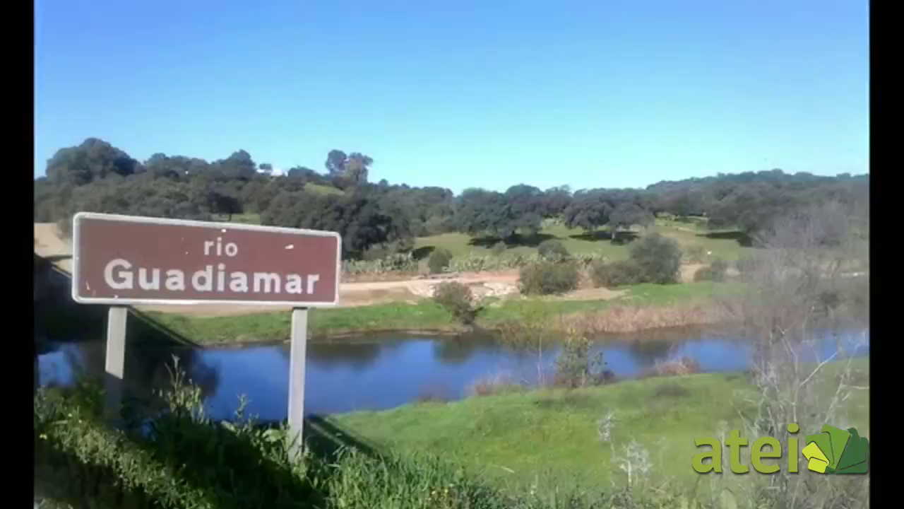 Guadiamar, el rio de Doñana