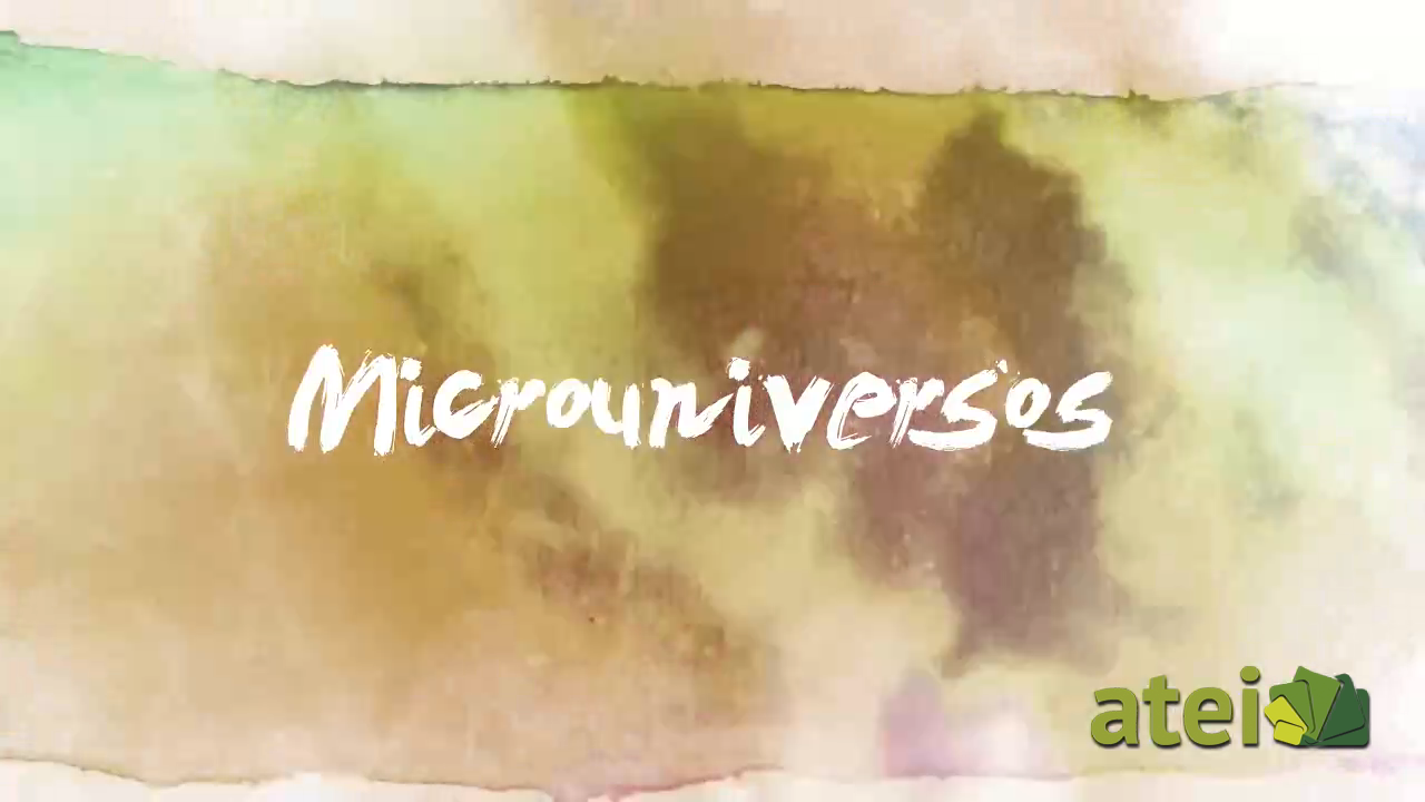 microuniversos-capitulo-8-segun-como-se-mire
