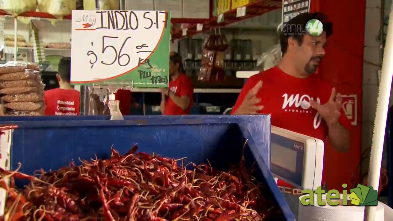 purochile1x02B3