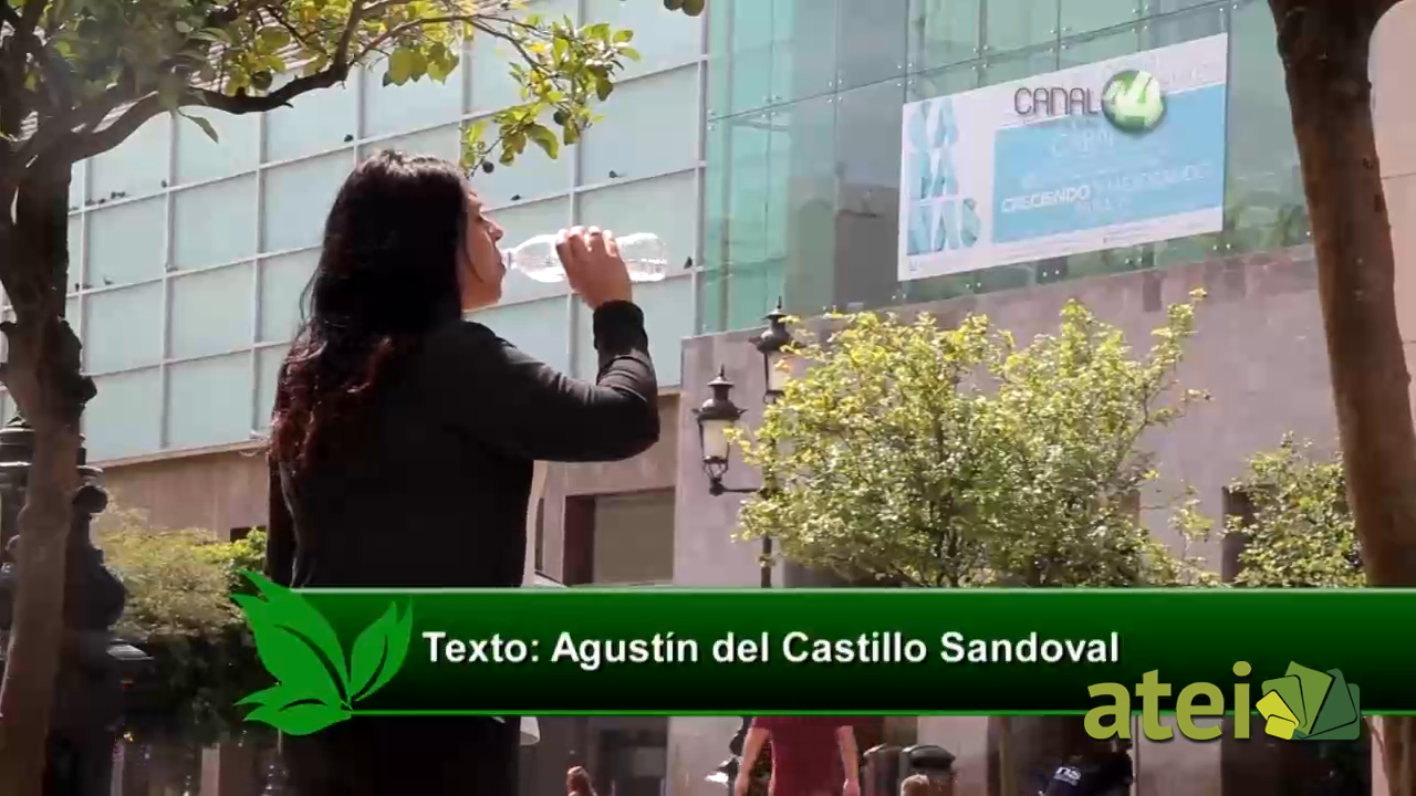 verde1x01B3
