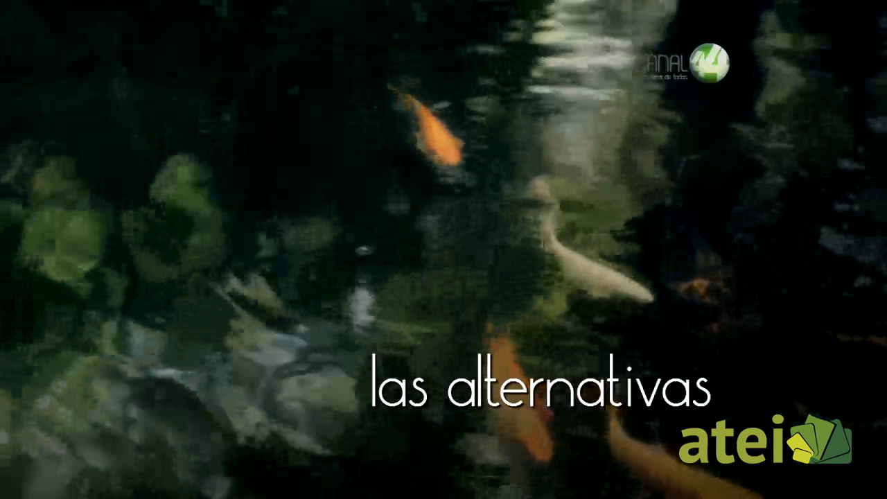 verde1x01B6