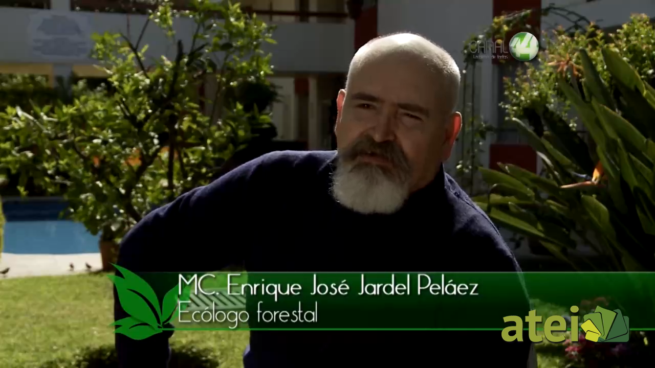 verde1x02B2