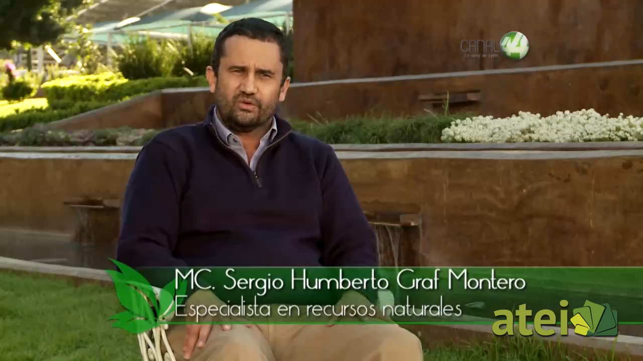 verde1x02B4