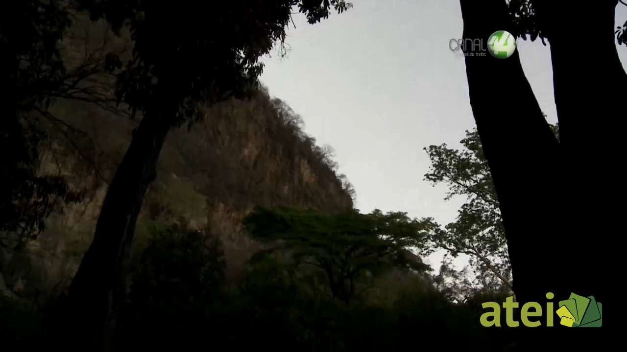 verde1x02B5