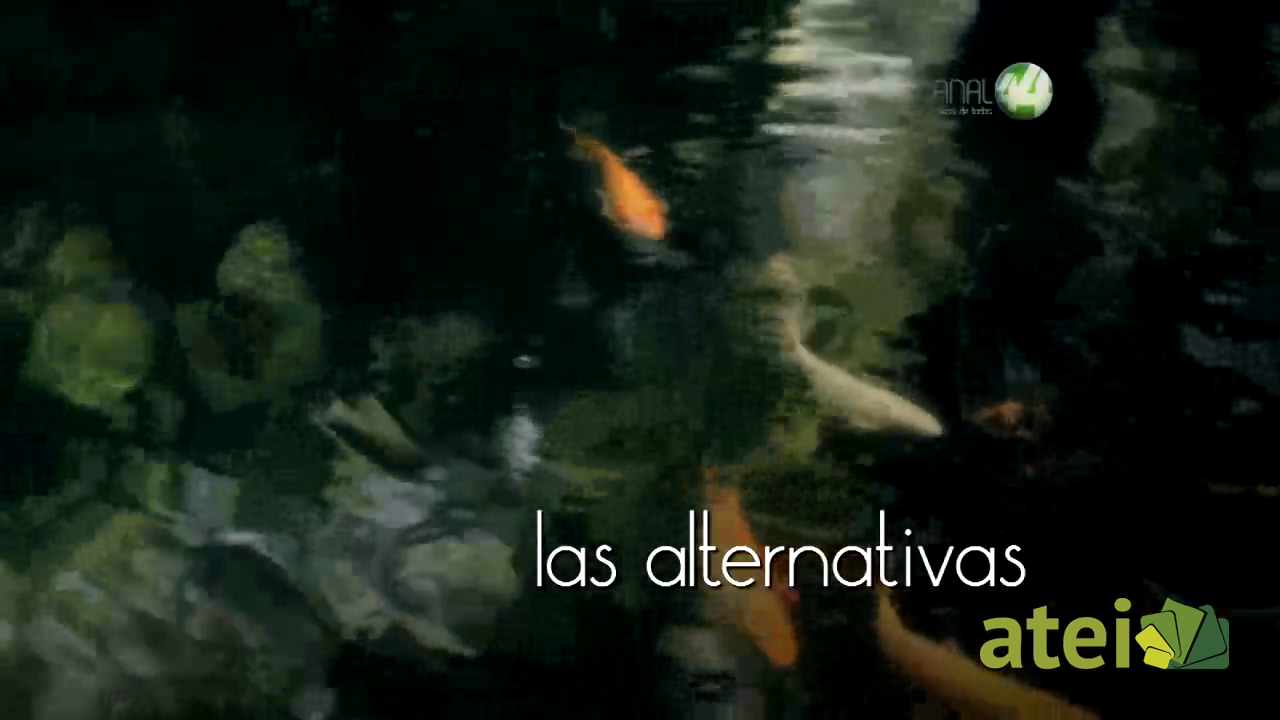 verde1x02B6