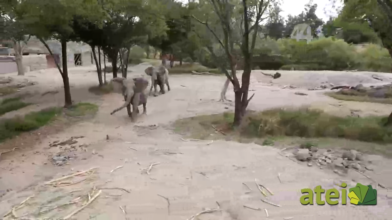 zoo1x74B2