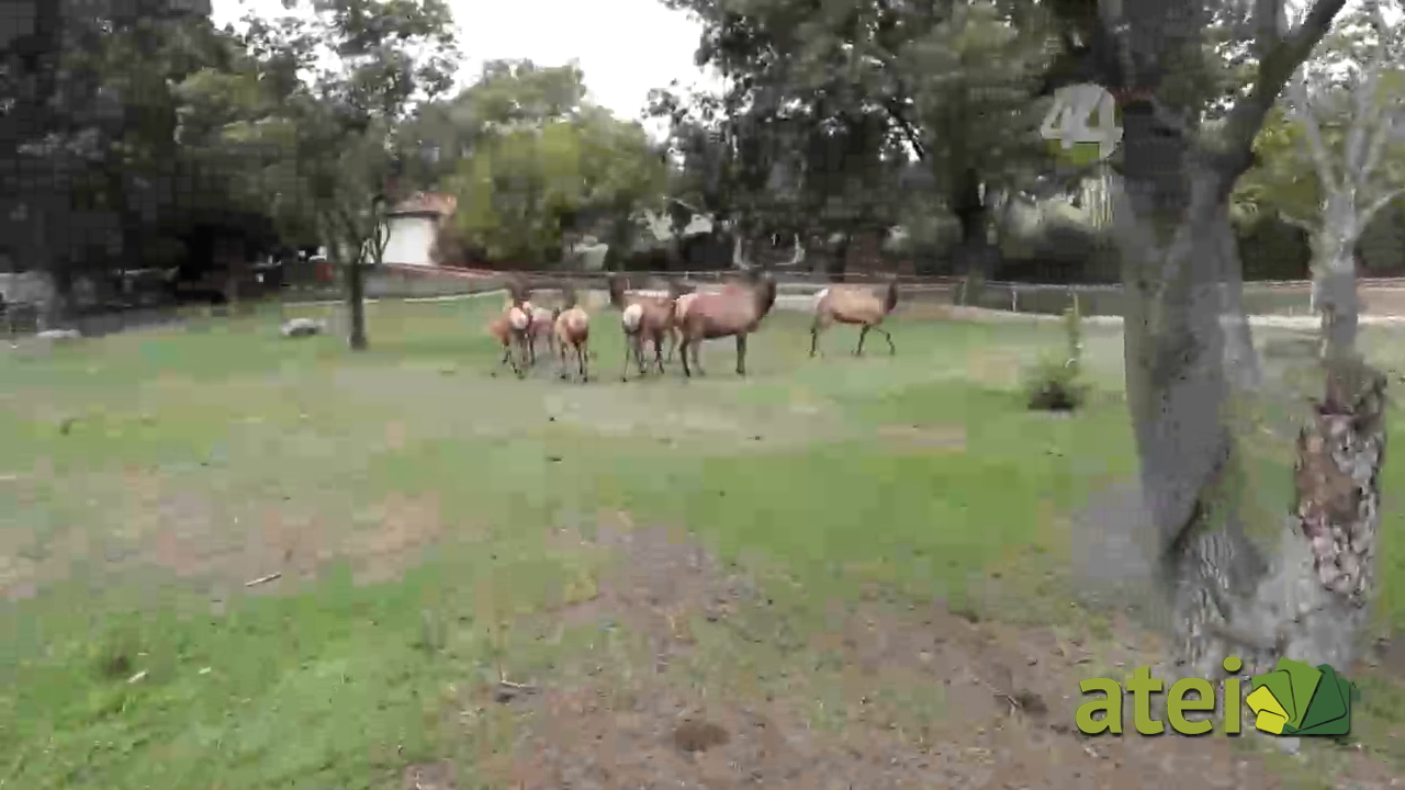 zoo1x76B2