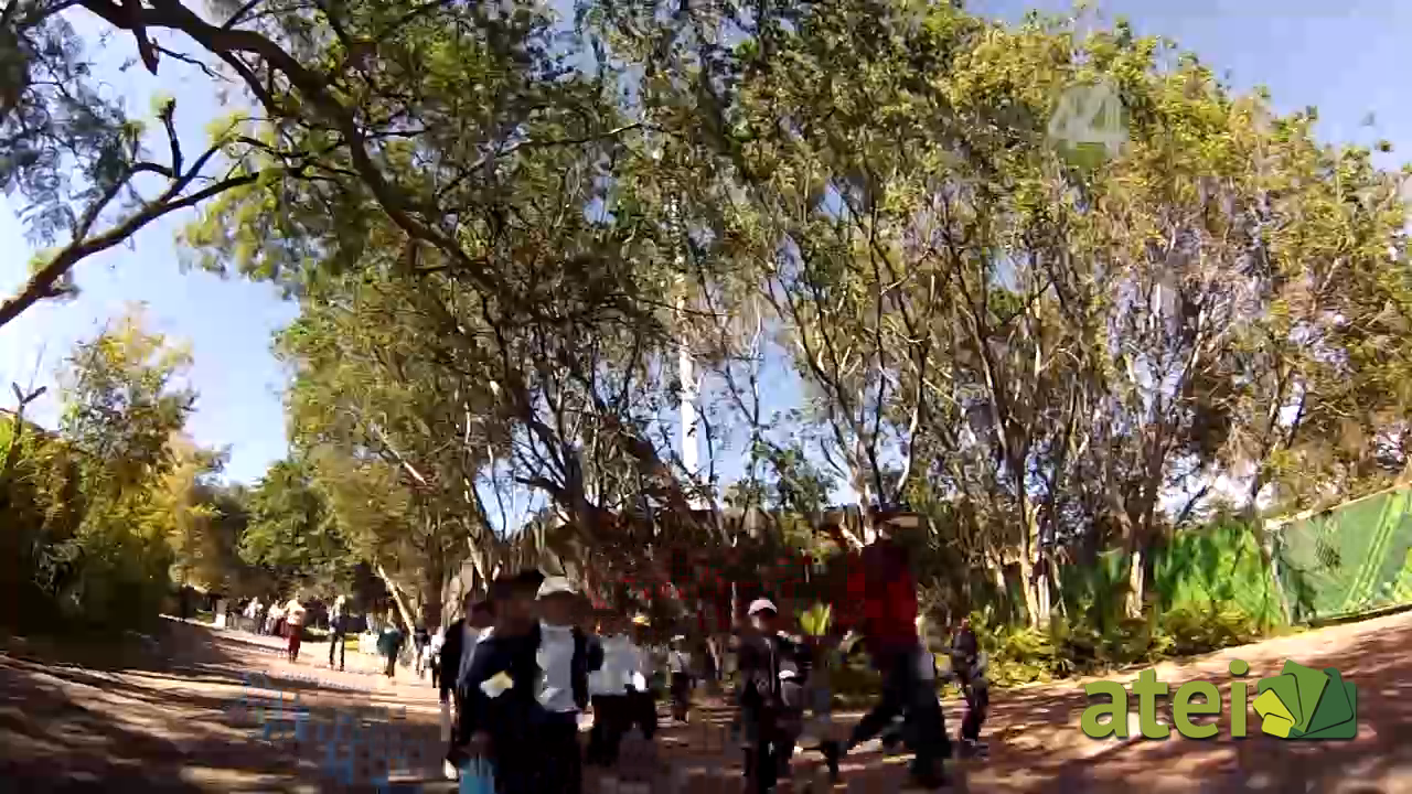 zoo1x78B3