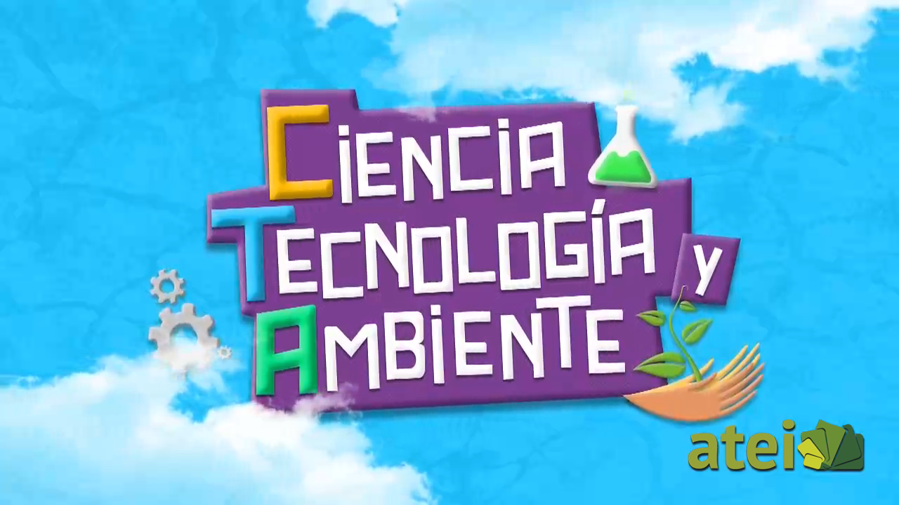 CTA 4TO_PROGRAMA 8_EL NÚCLEO CELULAR