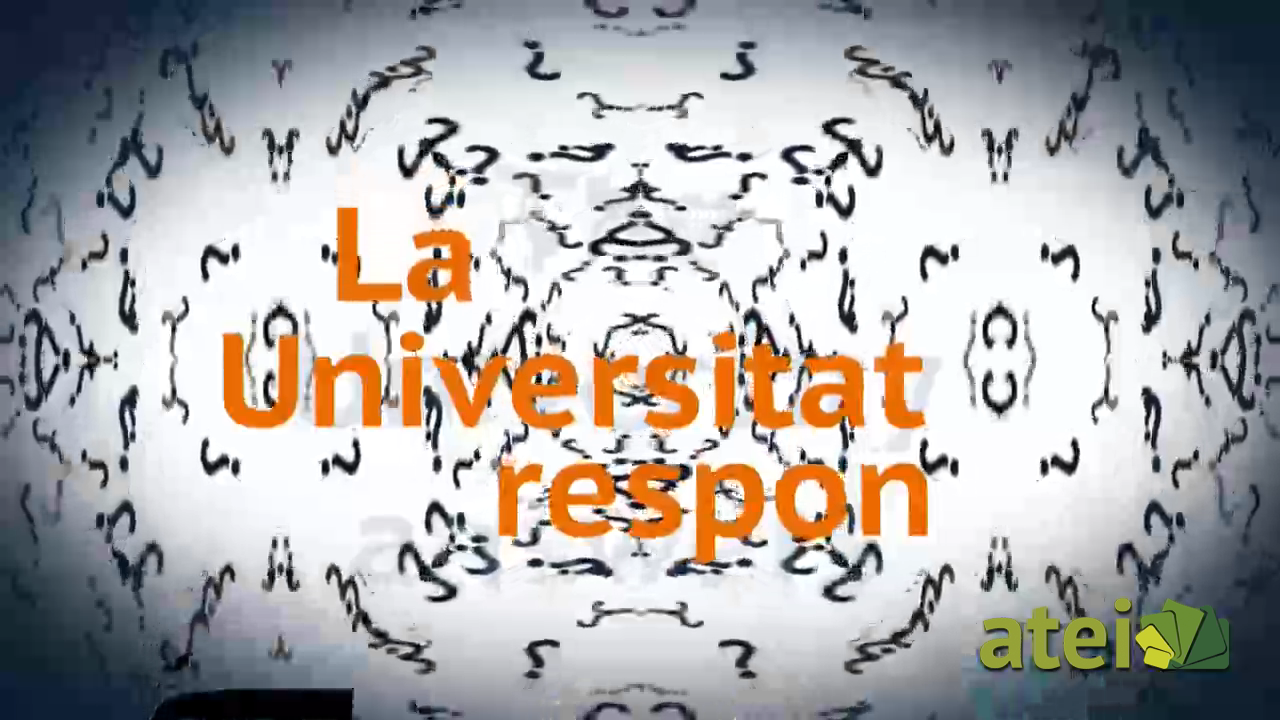 LUR2_Aguas ácidas_Carlos Ayora_UNIA