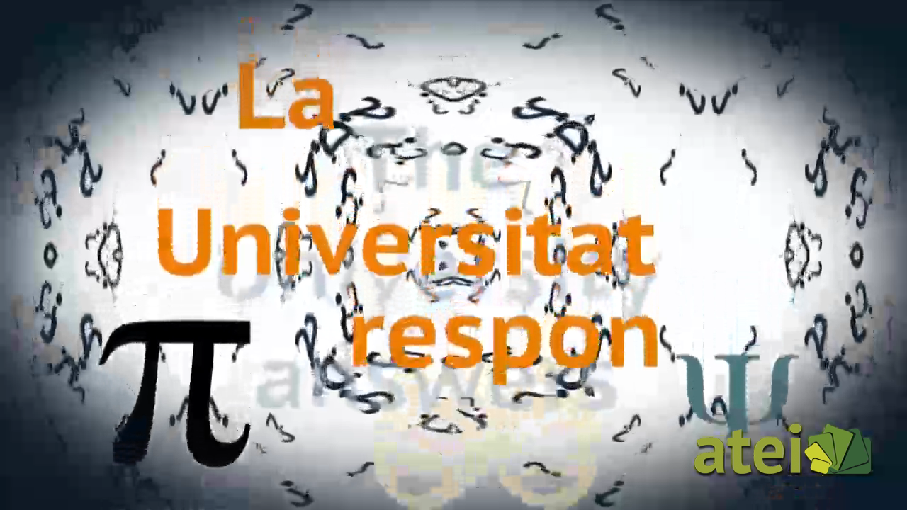 LUR2_Qué importancia tienen las abejas_Maria del Mar Leza_UIB