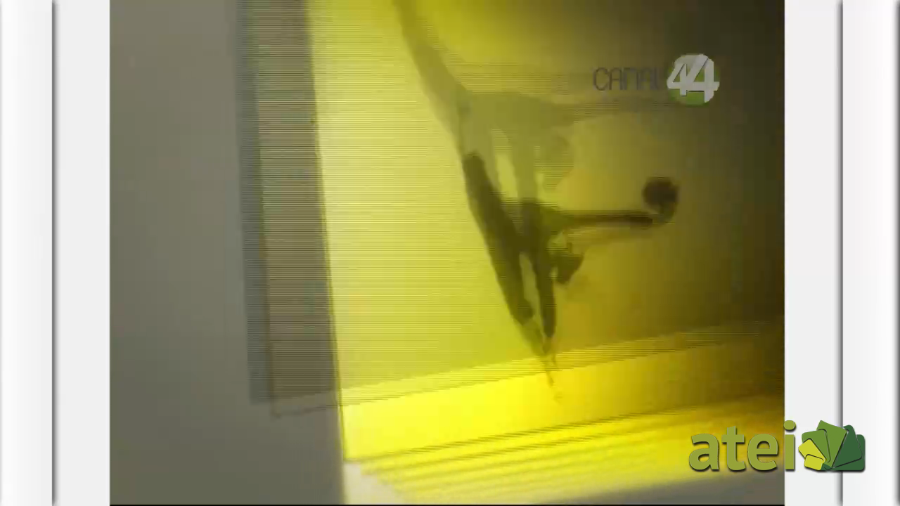 talento1x119B1