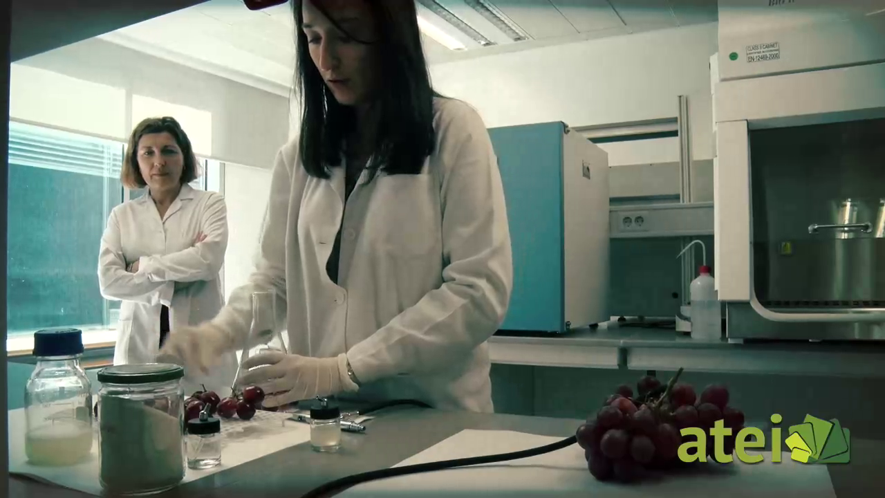 Un día en el laboratorio con…