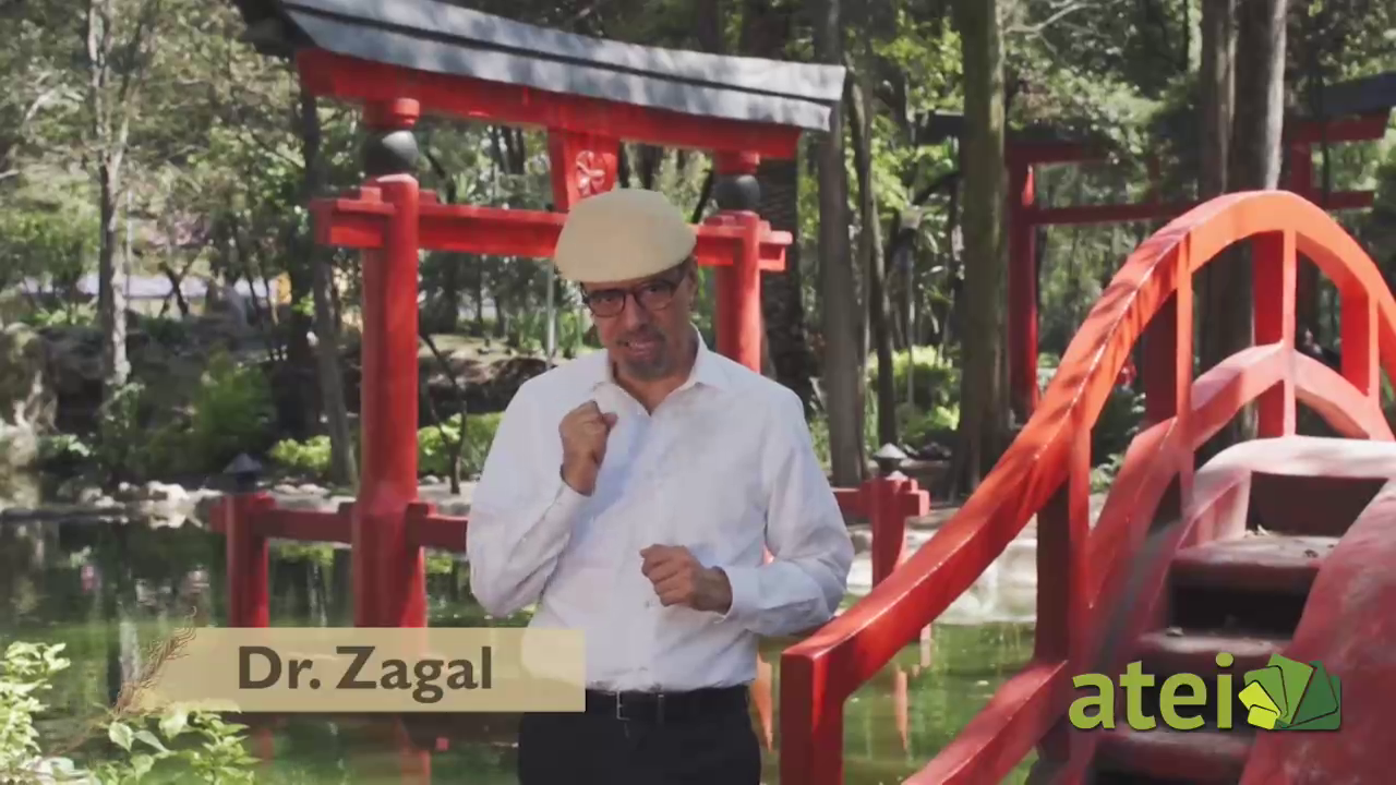 El gabinete de curiosidades del Dr. Zagal (1)