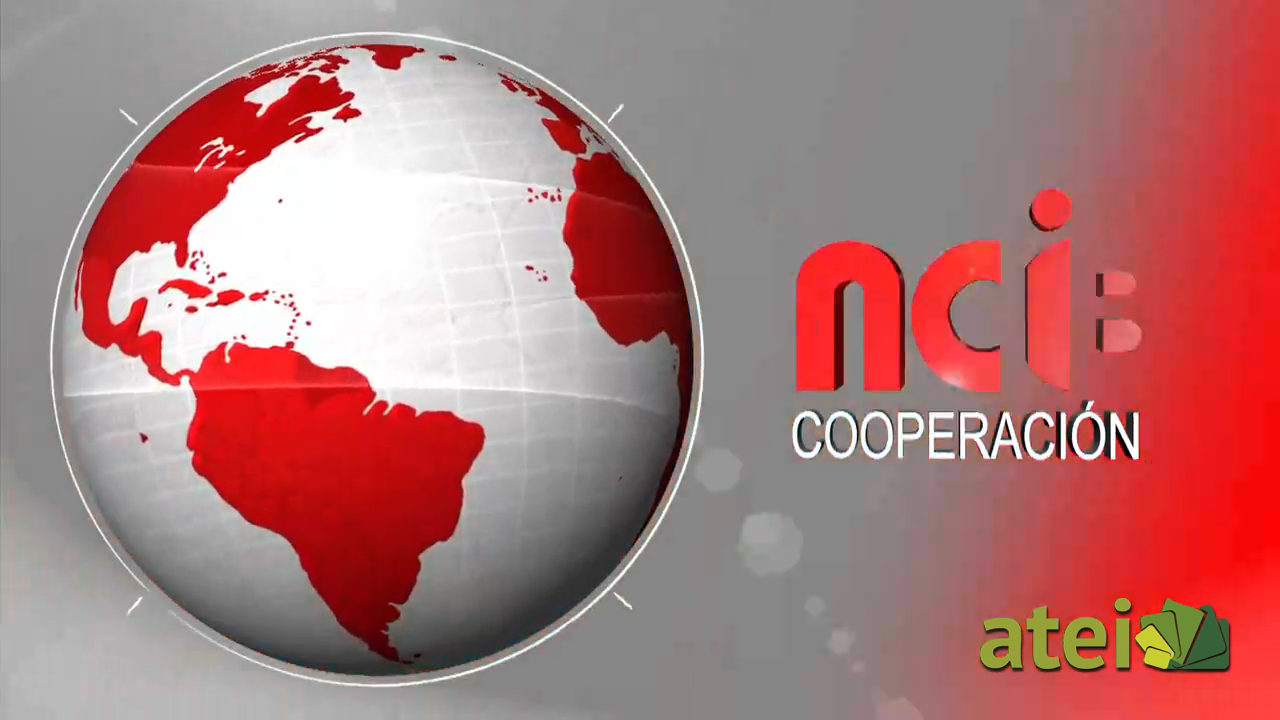 NCI Cooperación 2014