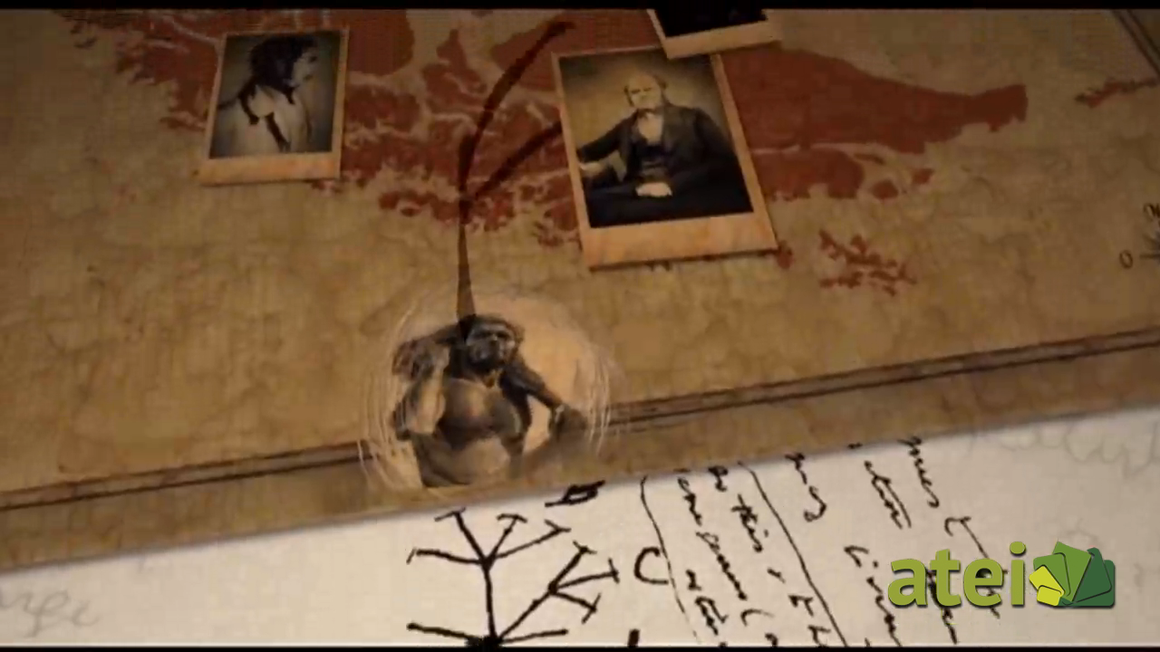 Darwin en Tierra de Fuego