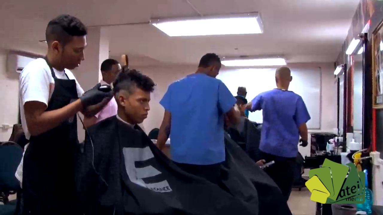 Videos promocionales de INADEH