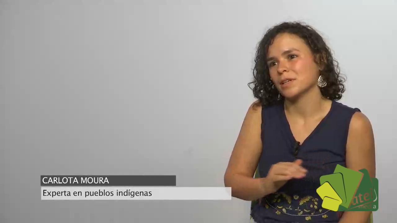 Expertos indígenas 2017