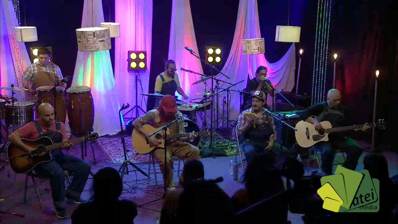 ACUSTICO GENITALLICA B3