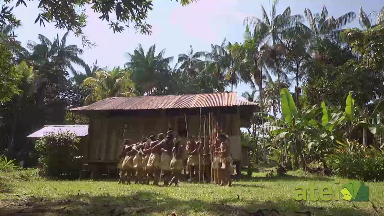 Danza Colombia trayecto indigena