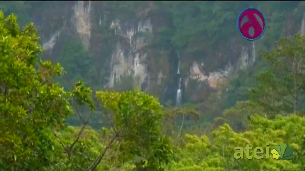 Nicaragua mía