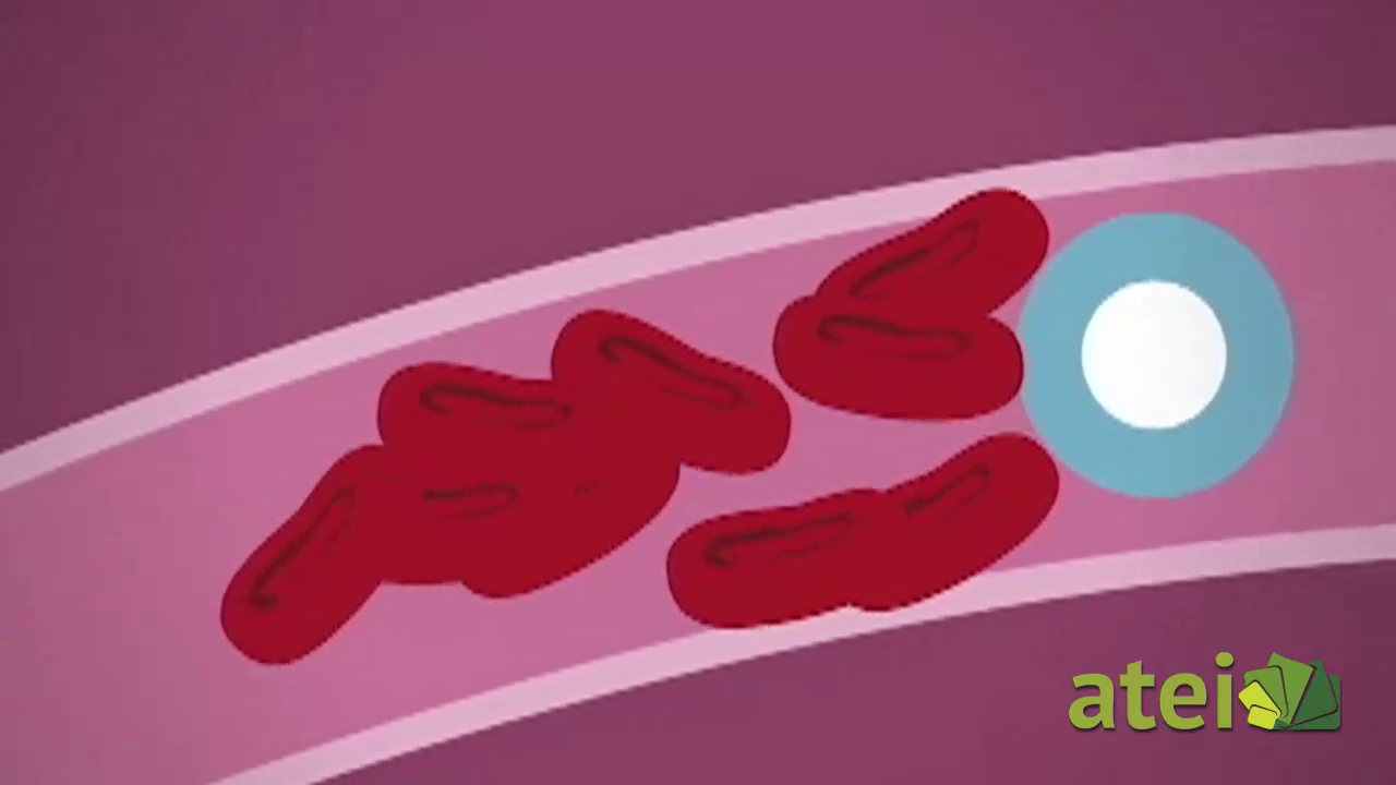 Cultura salud