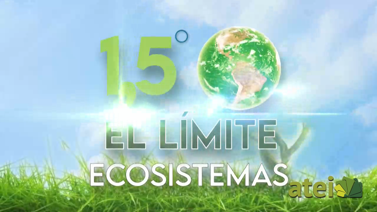 elimite1x04B2