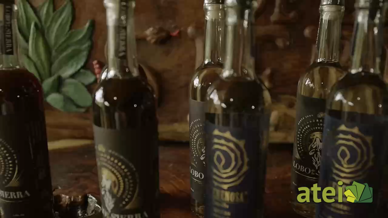 bebidas2x02B3