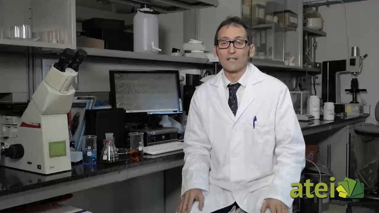 3x07 MICRO PLÁSTICOS