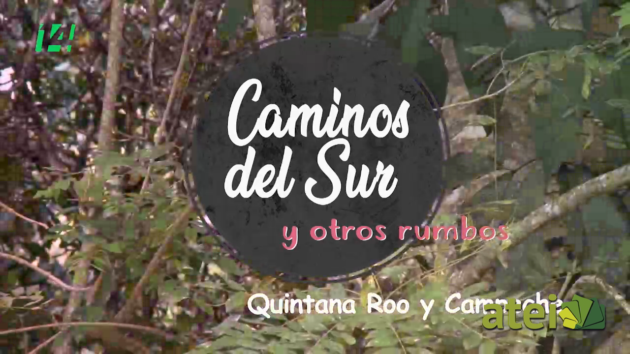 Caminos del sur y otros rumbos