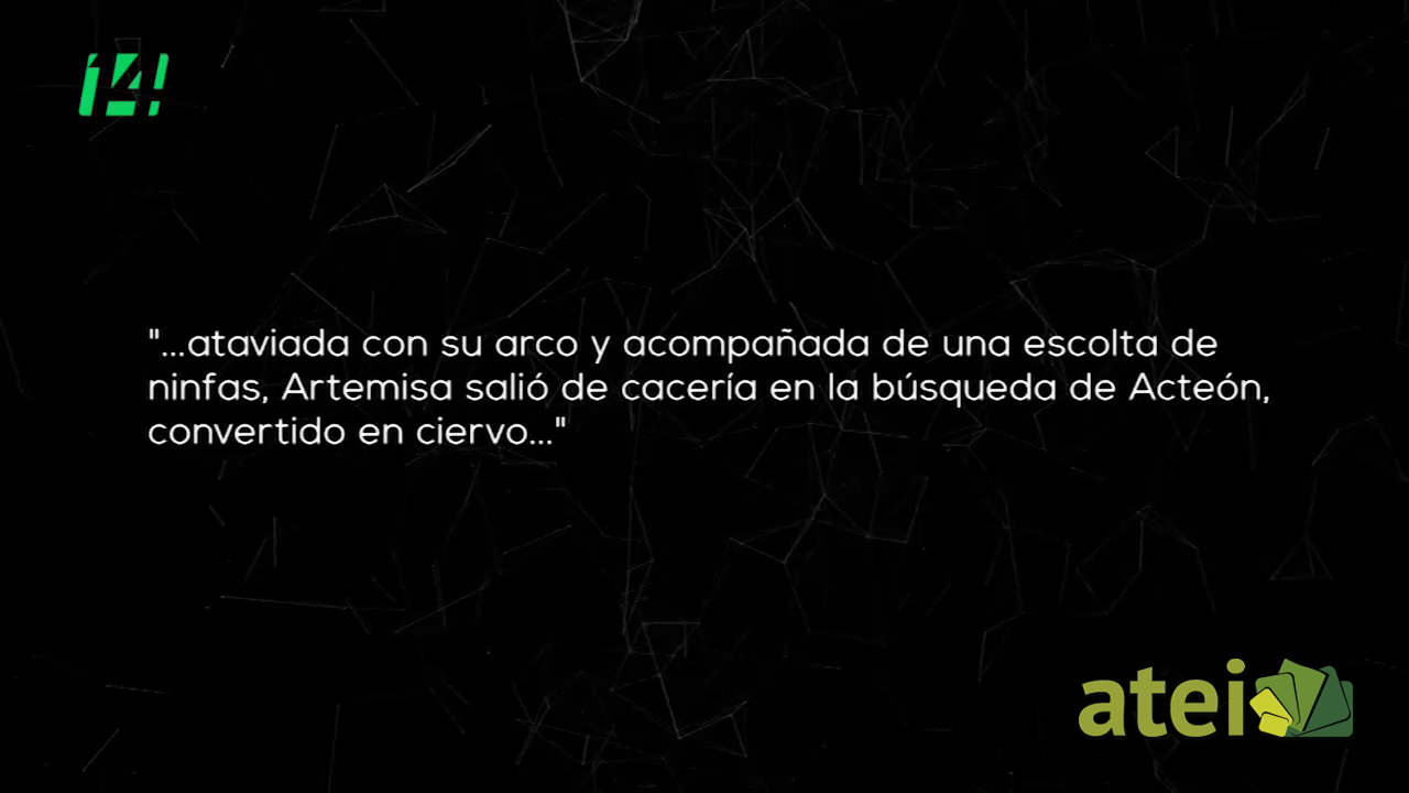 09952 007 PRESICION_1