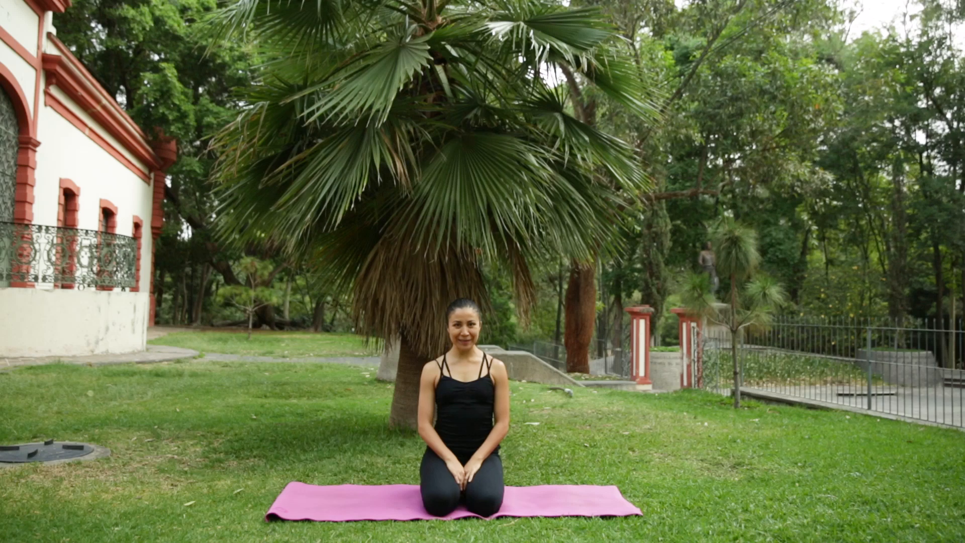 Yoga T4 - programa 54