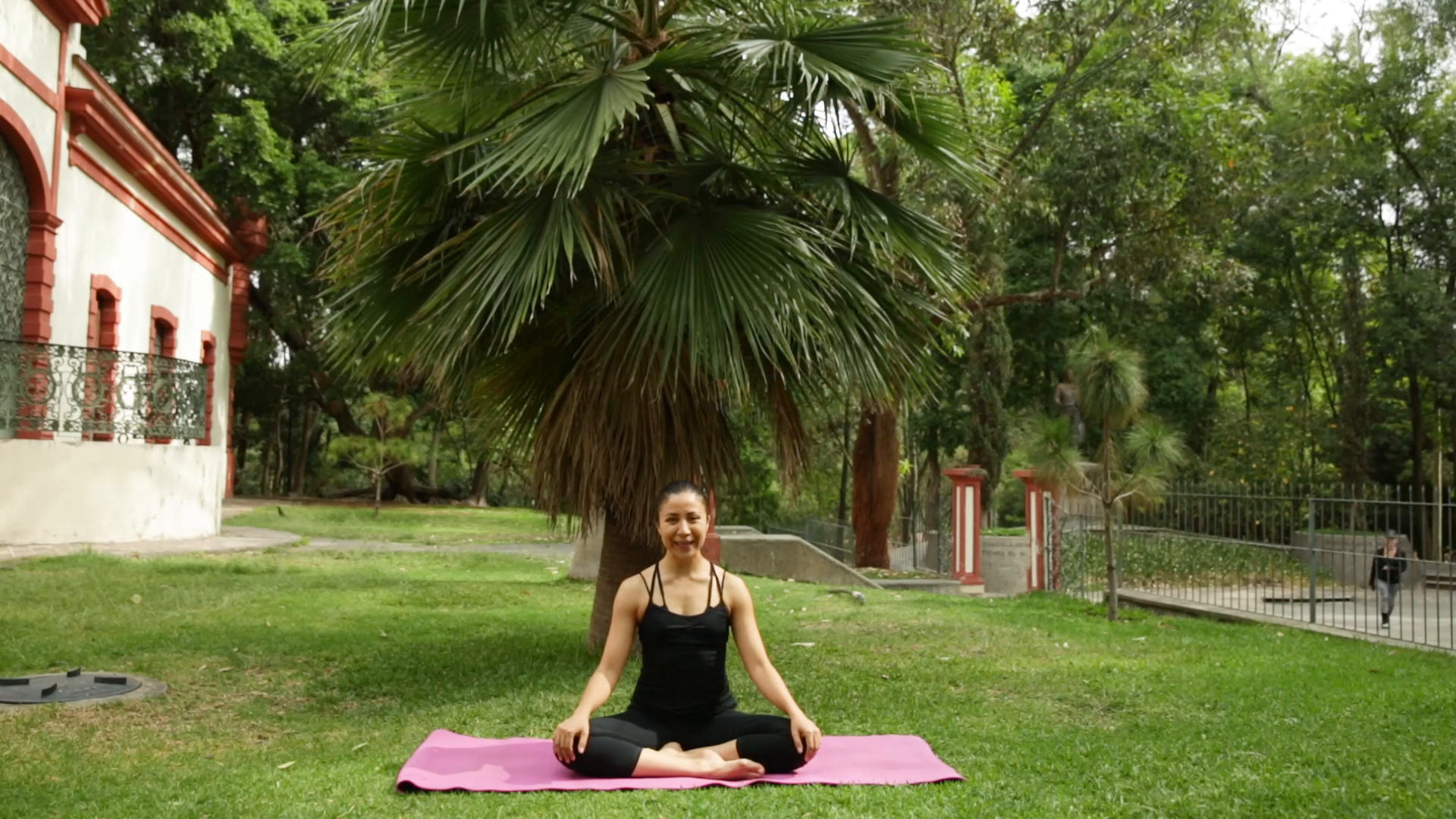 Yoga T4 - programa 55