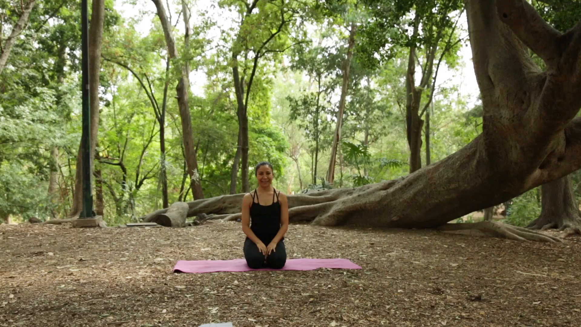 Yoga T4 - programa 56