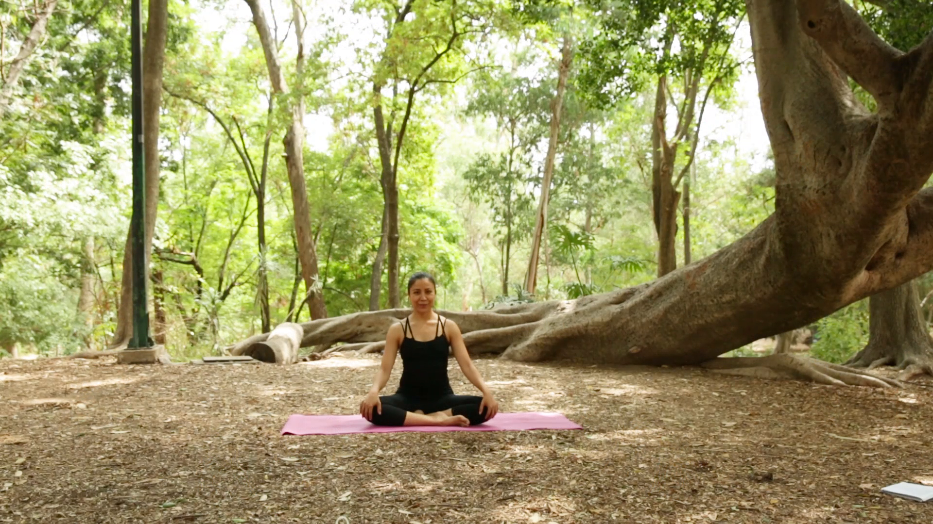 Yoga T4 - programa 57
