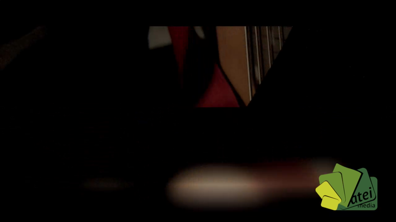 MÚSIQUES VOL. X - PLAN AUSTRAL - VIENTO (youtube)