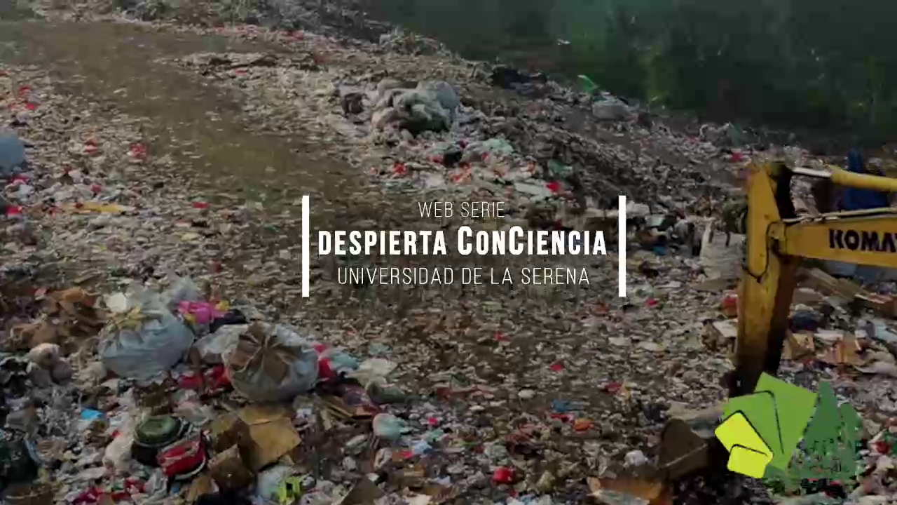 Despierta Conciencia T1