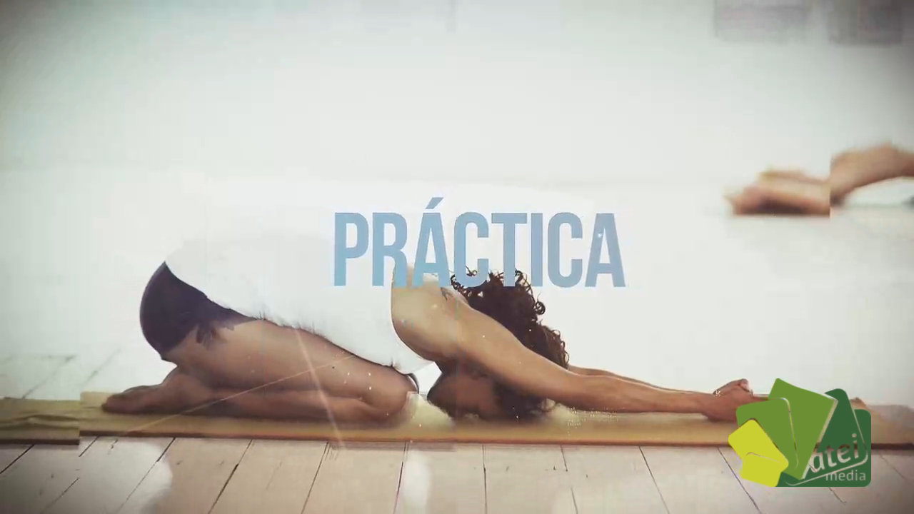 YOGA T5 - PROG 19