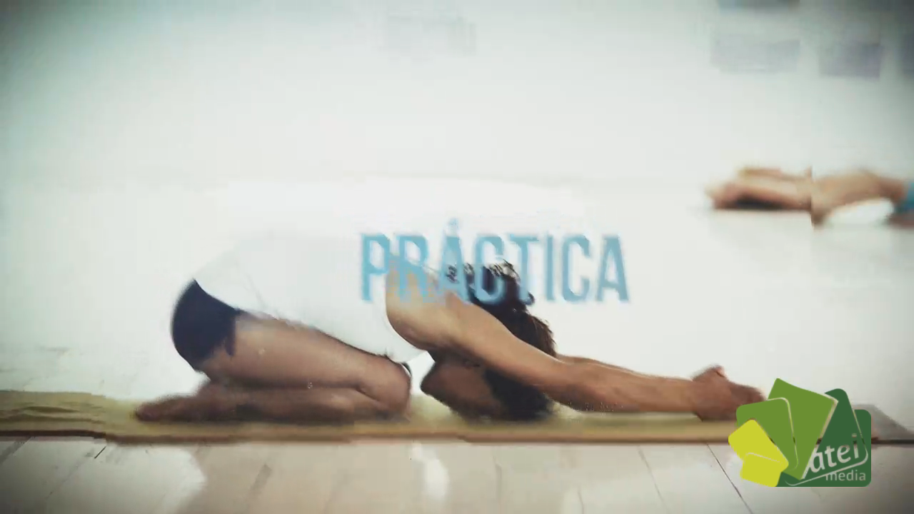 YOGA T5 - PROG 20