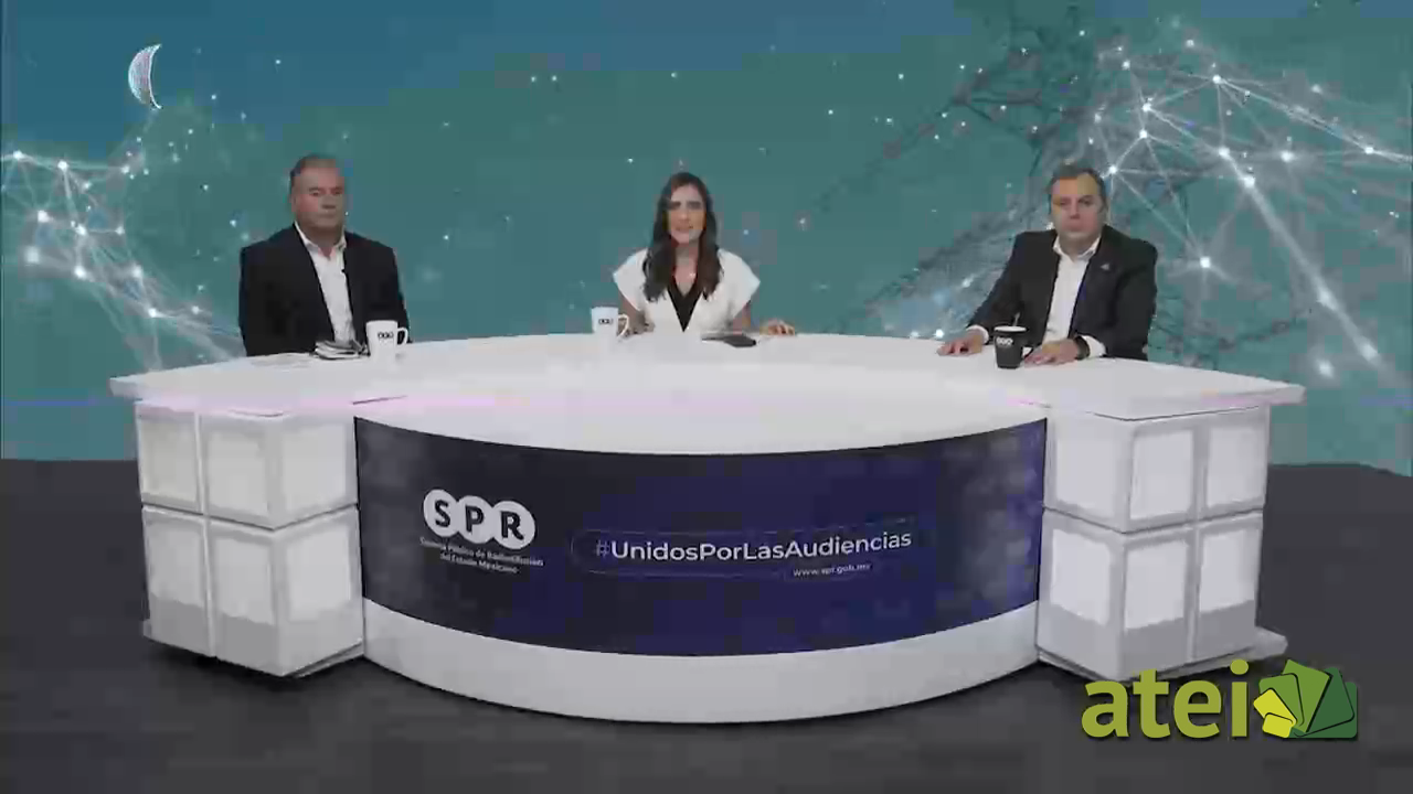 Electricidad. La visión de los privados B2