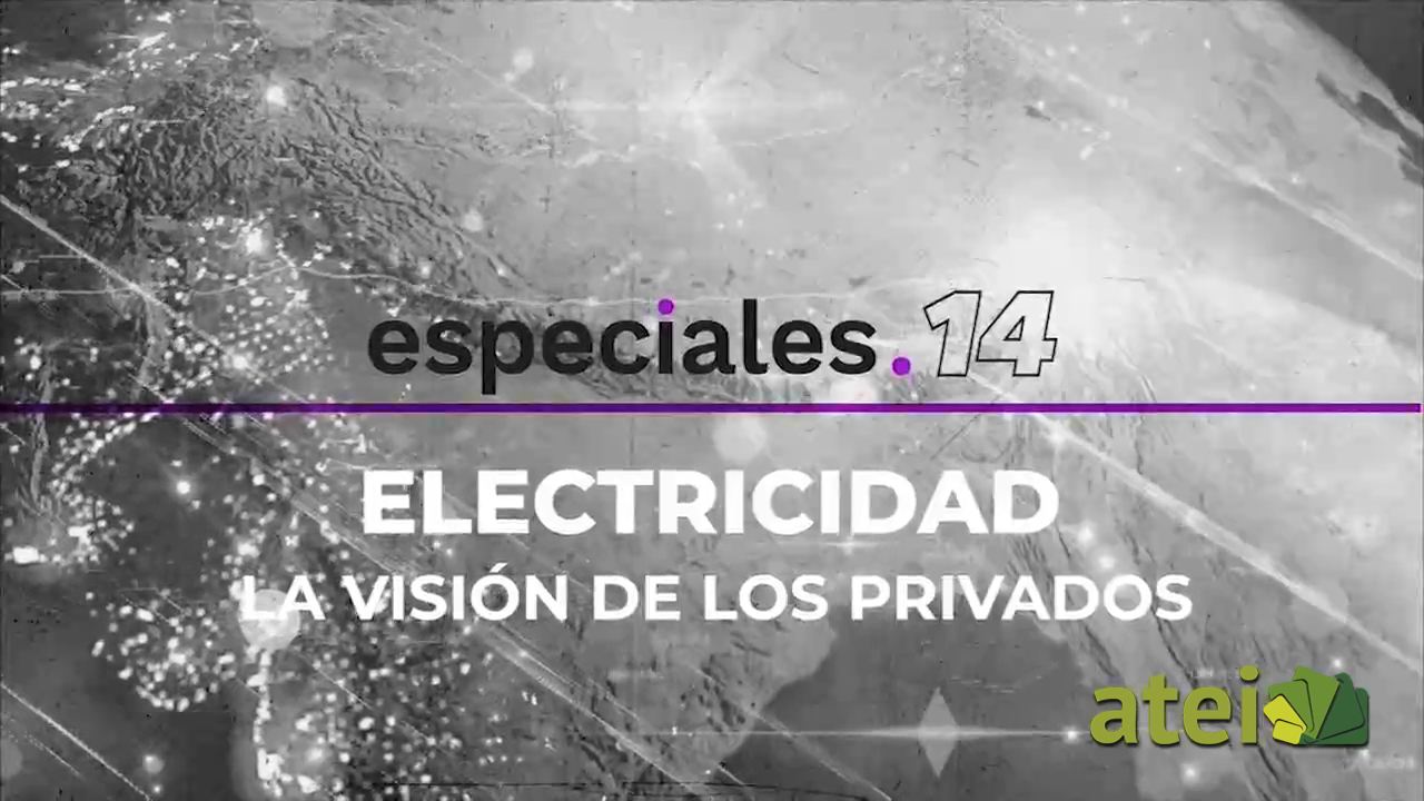 Electricidad. La visión de los privados B1