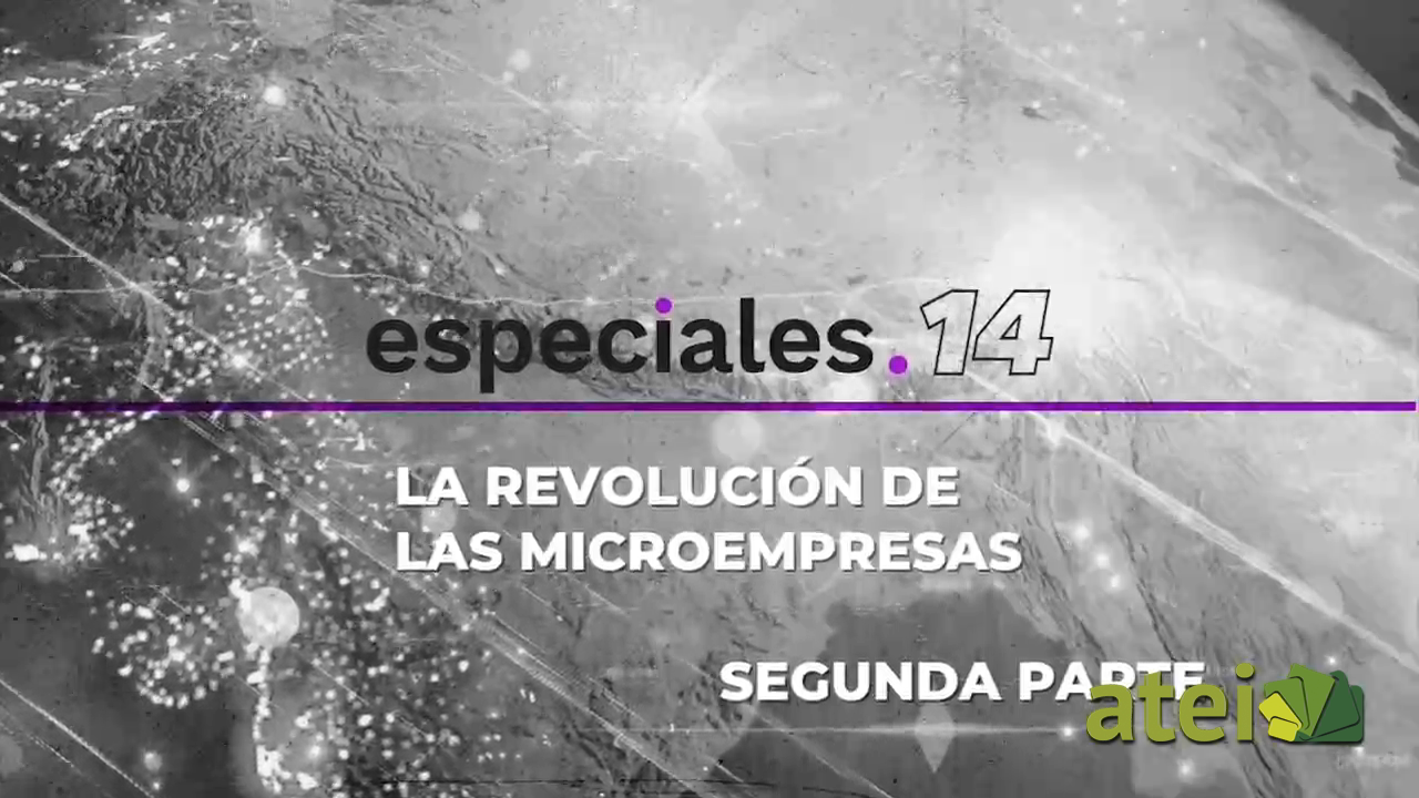 La revolución de las microempresas PGM 2 B1