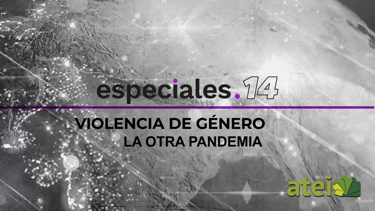 Violencia de género. La otra pandemia B1