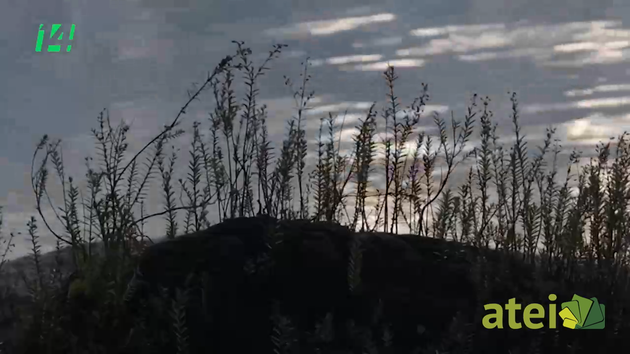 Agua, Oro del siglo XX B3